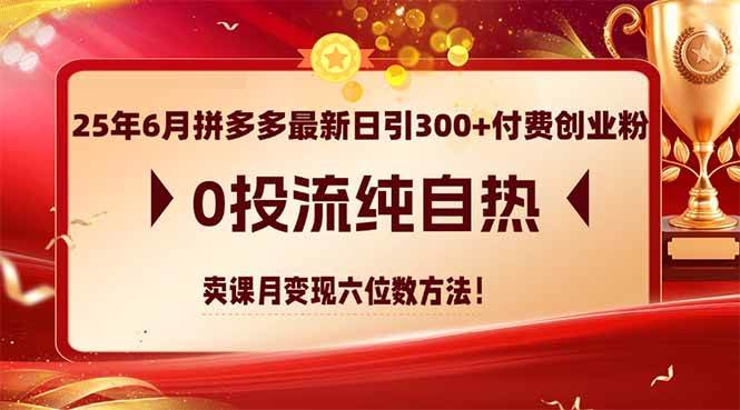 拼多多最新日引300+付费创业粉0投流卖课月变现六位数方法-无双副业