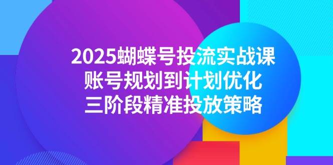 2025蝴蝶号投流实战课，账号规划到计划优化三阶段精准投放策略-无双副业