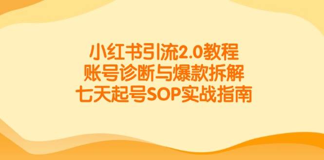 小红书引流教程：账号诊断与爆款拆解实战指南-无双副业