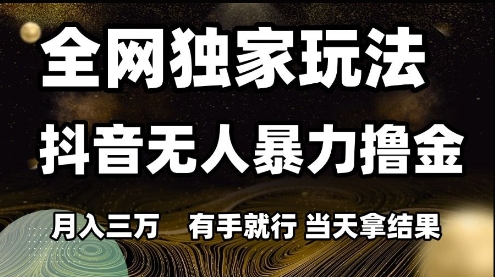 抖音无人直播暴力撸金项目揭秘，月入3W轻松上手-无双副业