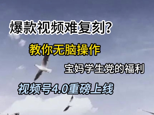 视频号4.0上线爆款视频操作指南宝妈学生党福利揭秘-无双副业