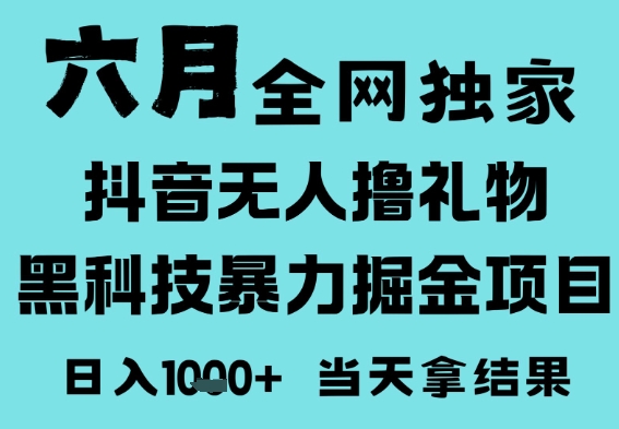 抖音无人直播撸音浪掘金项目揭秘，小白可做日入1k-无双副业