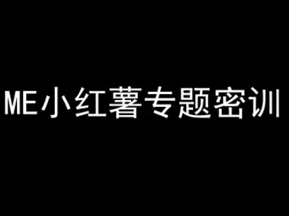 ME小红薯专题密训小红书电商教程-无双副业