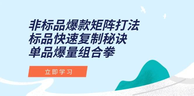 非标品爆款矩阵打法与标品快速复制秘诀-无双副业
