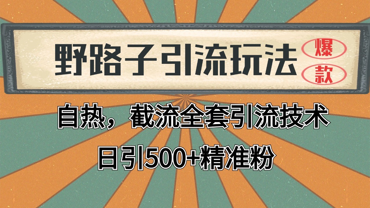 2024野路子引流玩法截流自热全平台全自动引流日引2000+精准客户-无双副业