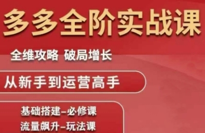 拼多多全阶实战课程，全维攻略从新手到运营高手-无双副业