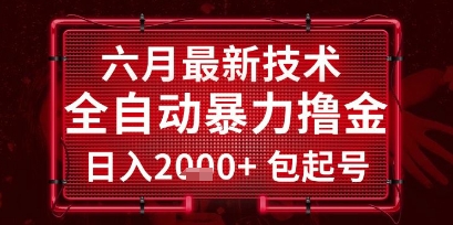 六月最新全自动撸金技术日入2k+长期稳定揭秘-无双副业
