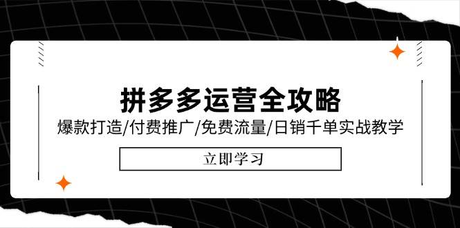 拼多多运营全攻略，爆款打造/付费推广/免费流量/日销千单实战教学-无双副业