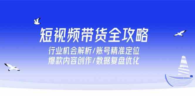 短视频带货全攻略：行业机会解析与账号精准定位-无双副业