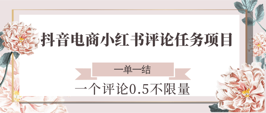 抖音电商小红书评论任务项目 每条0.5元一单一结不限量-无双副业
