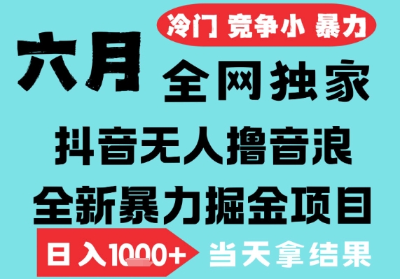 2025年抖音无人直播撸音浪掘金项目，无脑日入1k+可矩阵放大-无双副业