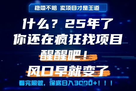 25年别再盲目找项目，掌握这些实现财富自由-无双副业