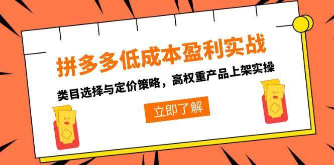 拼多多低成本盈利实战：类目选择与定价策略高权重产品上架-无双副业