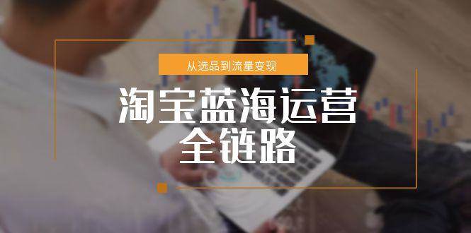 淘宝蓝海运营全链路，从选品到流量变现小类目突围方案-无双副业