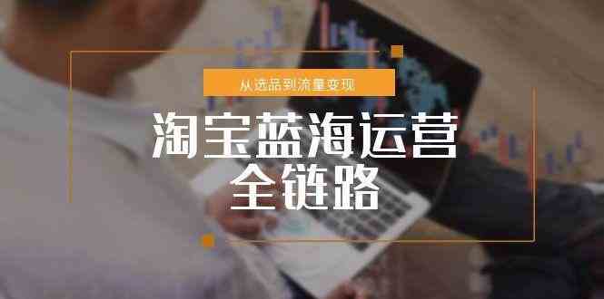 淘宝蓝海小类目运营全链路，从选品到流量变现完整方案-无双副业