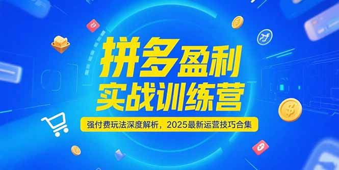 拼多多盈利实战训练营，强付费玩法深度解析与最新运营技巧-无双副业