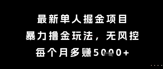 最新单人掘金项目揭秘，无风控月入5000+-无双副业