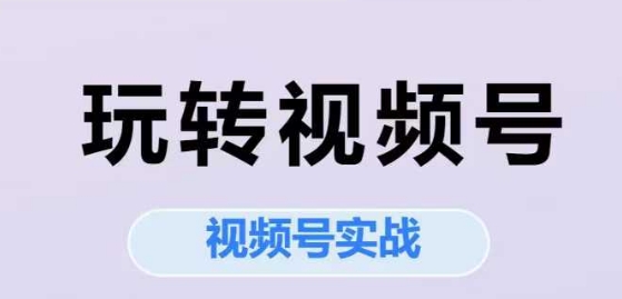 视频号实战课程：从定位到直播的完整指南-无双副业