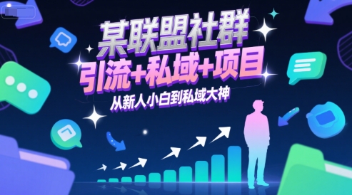 联盟社群教你引流私域项目从新人到私域大神-无双副业