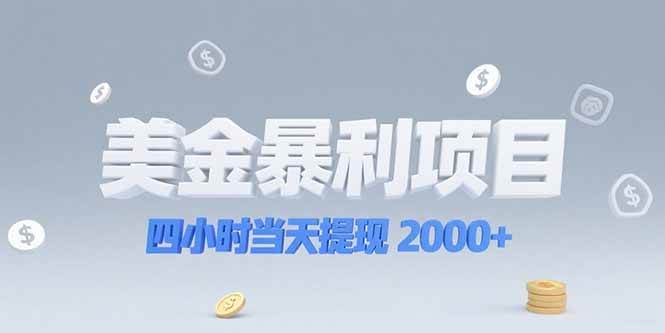 美金暴利项目四小时当天提现2000+选对赛道是关键-无双副业