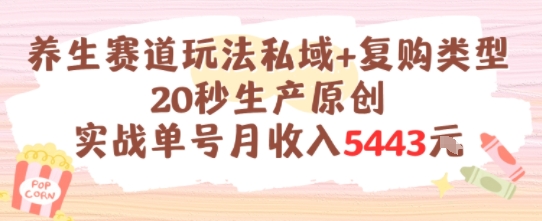 养生赛道私域复购玩法实战单号月收入5k+-无双副业