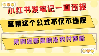 小红书笔记违规解决方案，精准引流付费粉丝的公式-无双副业