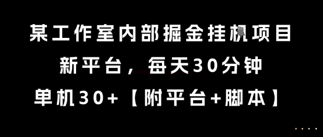 工作室内部掘金挂G项目揭秘，新平台单机日赚30+-无双副业