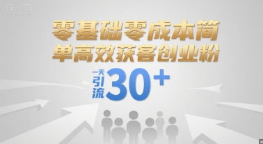 零基础零成本高效获客创业粉方法分享-无双副业