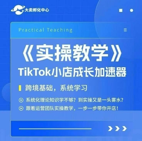 大卖家孵化中心TikTok实操课与跨境小店系统学习-无双副业