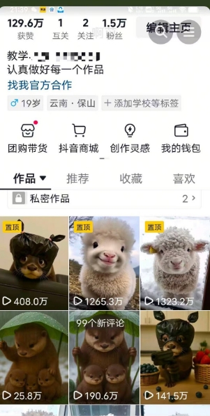 抖音AI萌宠课程全套教程，原创二创结合新赛道流量大