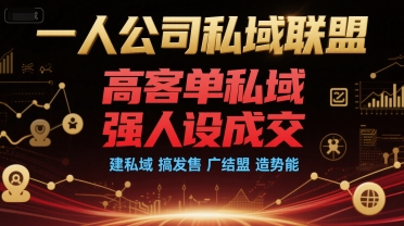 一人公司私域联盟打造高客单强人设成交体系-无双副业