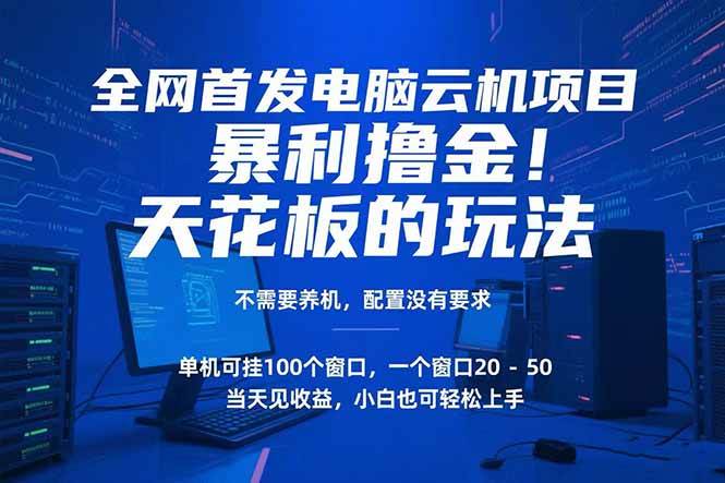 电脑云机项目暴力撸金玩法 单机100窗口日入500+-无双副业