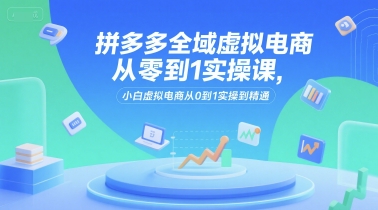 拼多多虚拟电商从零到1实操课，小白快速精通虚拟电商运营-无双副业