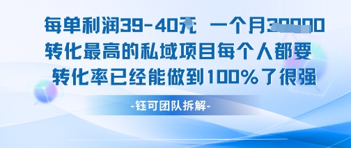 每单利润40元月入7k+的高转化私域项目 家庭必备产品转化率100%-无双副业