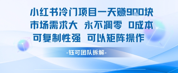 小红书冷门项目日收益9张市场需求大0成本可复制-无双副业