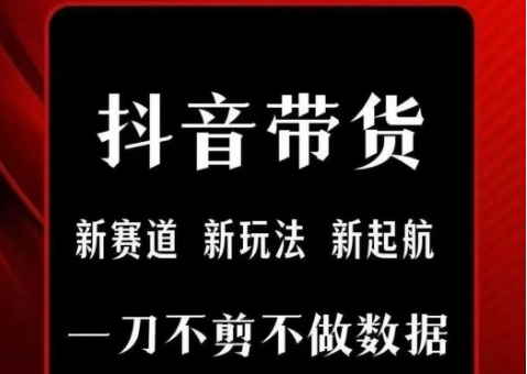 抖音短视频无剪辑带货项目，轻松发布视频获取佣金-无双副业