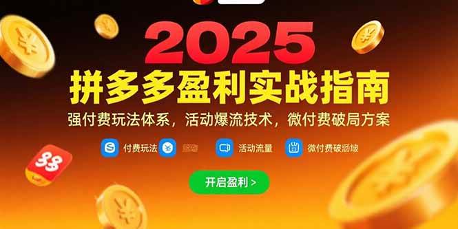 拼多多盈利实战指南：强付费玩法与活动爆流技术-无双副业