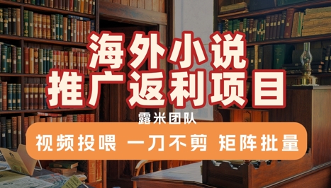 海外小说推广返利项目视频投喂矩阵批量操作-无双副业