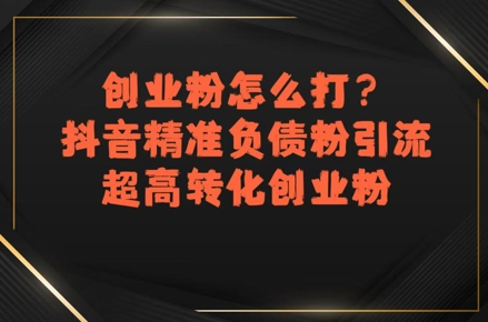 抖音精准负债粉引流与高转化创业粉实战策略-无双副业
