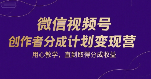 微信视频号创作者分成计划变现营教学课程-无双副业