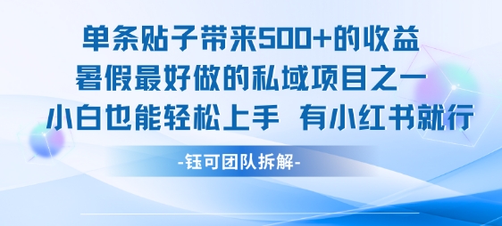 单条贴子带来5张收益的暑假私域项目，小白轻松上手只需小红书-无双副业