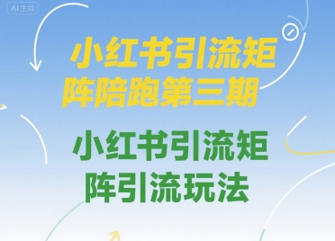 小红书引流矩阵陪跑课程，掌握矩阵引流玩法-无双副业