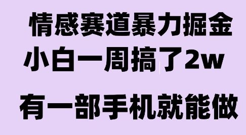 情感暴力掘金项目揭秘，新手7天收益2W长期稳定可操作-无双副业