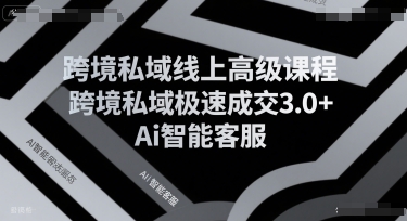 跨境私域线上高级课程与AI智能客服应用指南-无双副业