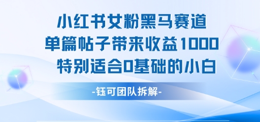 小红书女粉赛道单篇笔记收益1k+，0基础小白轻松上手-无双副业