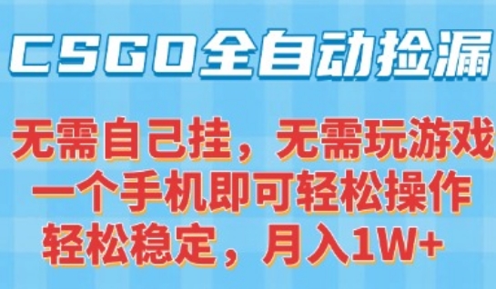 CSGO自动捡漏项目最新玩法 手机操作新手轻松月入1W+-无双副业