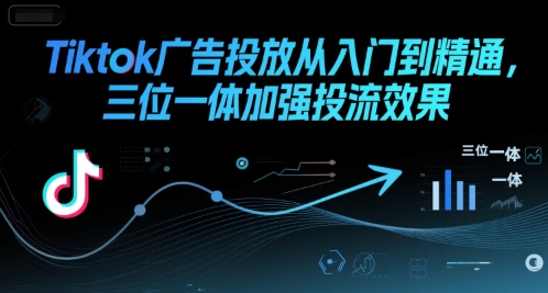 Tiktok广告投放从入门到精通，三位一体提升投流效果-无双副业
