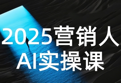 2025营销人AI实操课，从Prompt到方案提升营销效率-无双副业