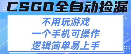 CSGO自动捡漏项目最新玩法 手机操作新手月入1W+揭秘-无双副业