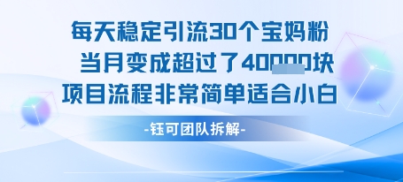 每天稳定引流30人月入超4万的小白简单项目流程-无双副业